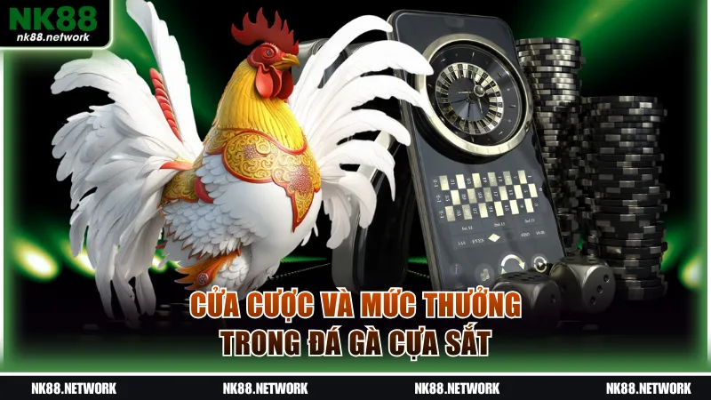 Cửa cược và mức thưởng trong đá gà cựa sắt