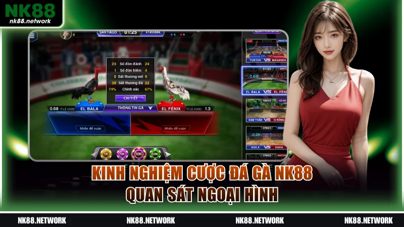 Kinh nghiệm cược đá gà NK88 quan sát ngoại hình