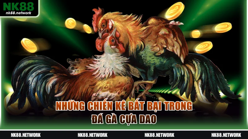 Những chiến kê bất bại trong đá gà cựa dao