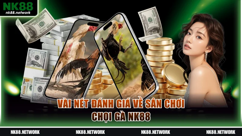 Vài nét đánh giá về sân chơi chọi gà NK88