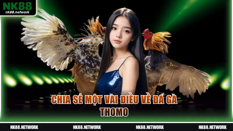 Chia sẻ một vài điều về đá gà Thomo