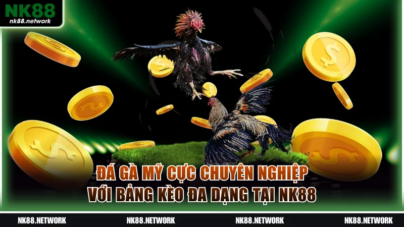 đá gà Mỹ