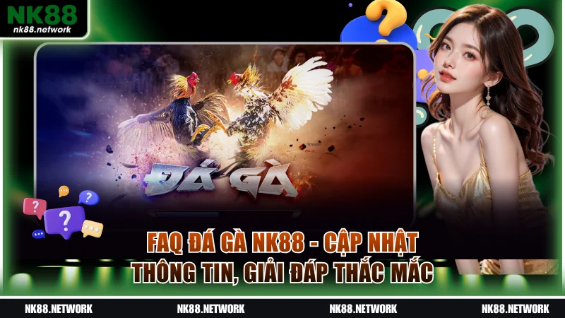FAQ đá gà NK88