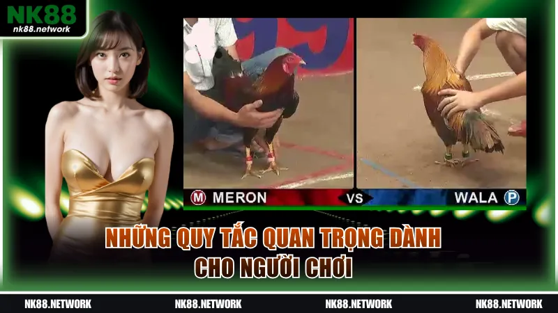 Những quy tắc quan trọng dành cho người chơi