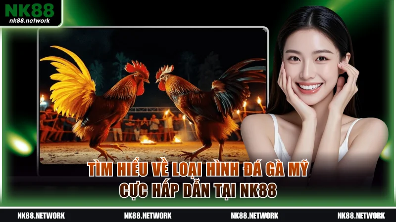 Tìm hiểu về loại hình đá gà Mỹ cực hấp dẫn tại NK88